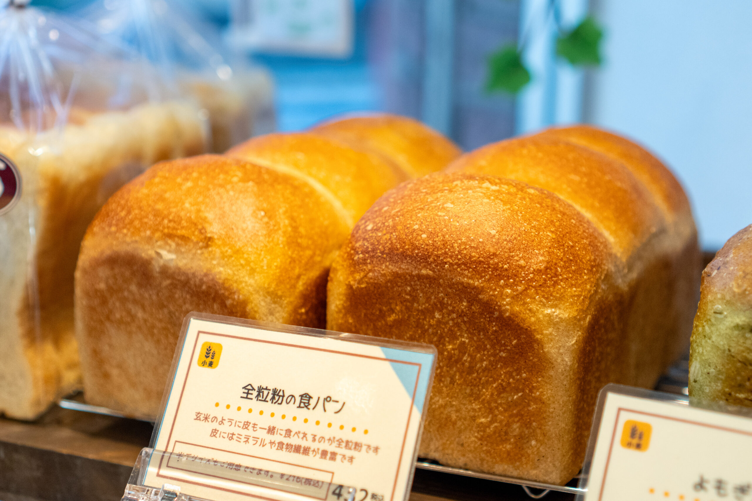 【東松戸パン屋】2026年春オープン！「ひとぱん工房」の新店舗の場所が判明！東松戸2丁目周辺を徹底調査！